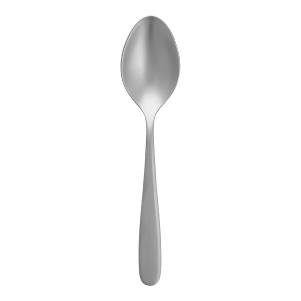 A stainless steel Fortessa Grand City serving spoon with a silver handle.