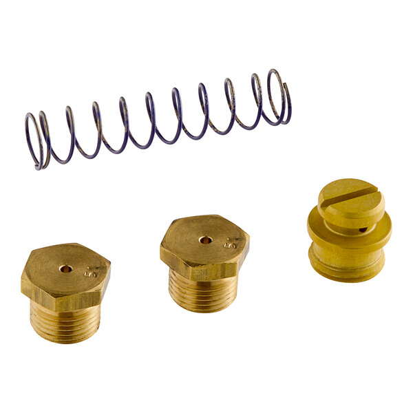 A group of brass screws and a spring used for converting an AccuTemp griddle to liquid propane.