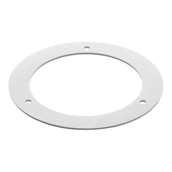 A white round gasket with holes.