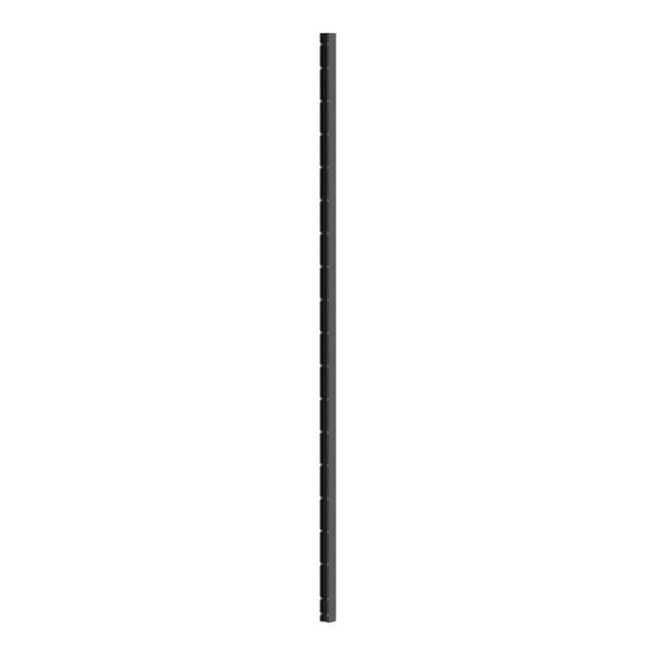 A long black metal pole.