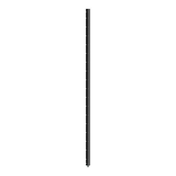 A long black metal pole.
