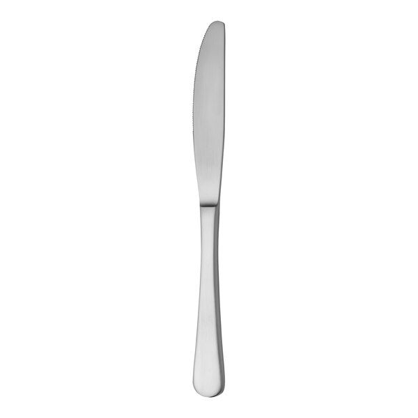 A RAK Youngstown Kampton stainless steel dinner knife with a silver handle on a white background.