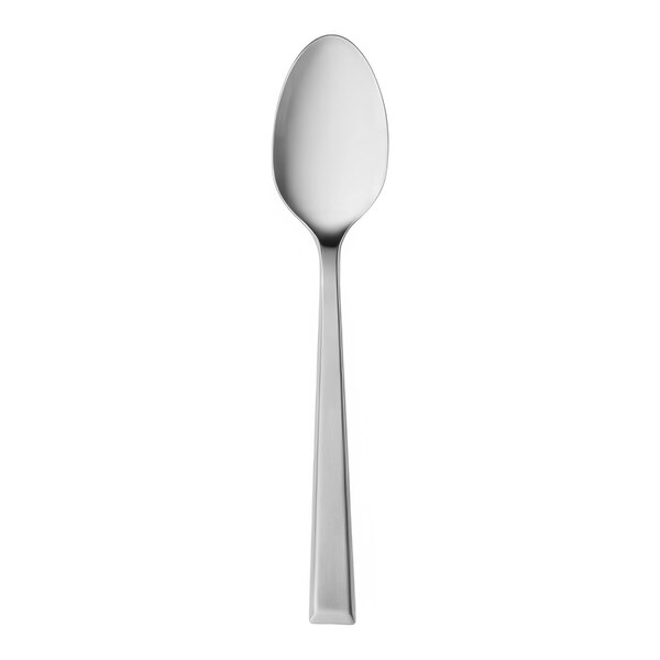 A Reserve by Libbey Santorini stainless steel serving spoon with a long handle and a satin finish.