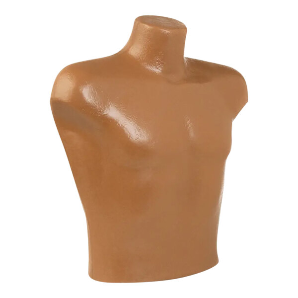 A polyethylene Econoco Apollo muscular male torso mannequin on a white background.