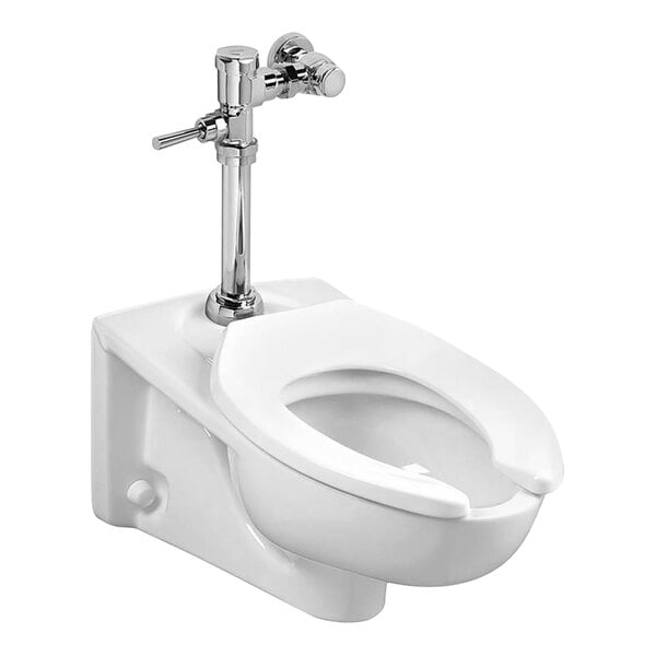 Flushometer toilet deals