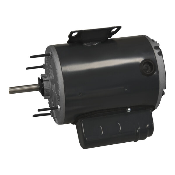 A close-up of a black Canarm electric motor with a metal pole and black cover.