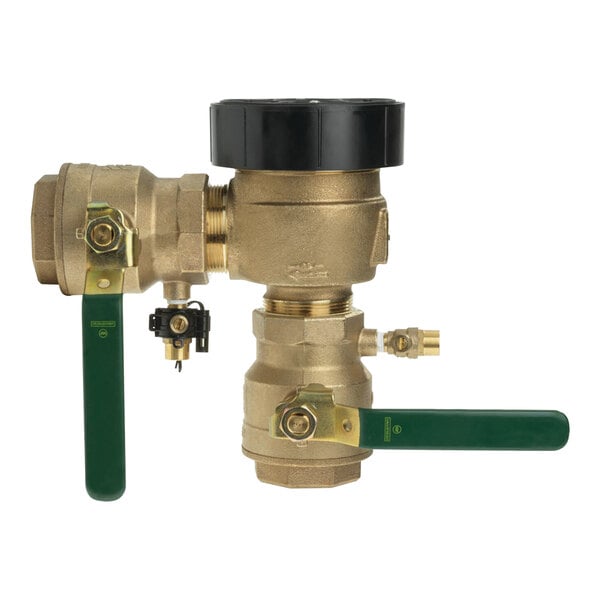 A close-up of a brass and green Watts pressure vacuum breaker valve.