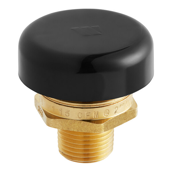 A black and gold threaded Watts LFN36-M1 vacuum relief valve.