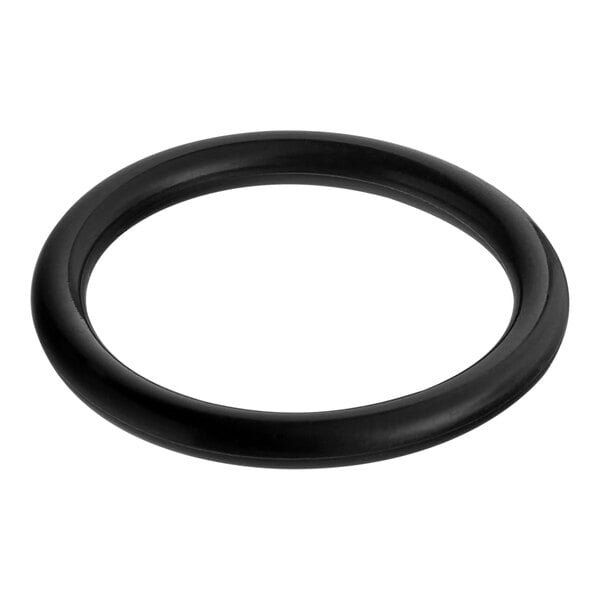 A black EPDM plunger O-ring for a Seko chemical dispensing pump.