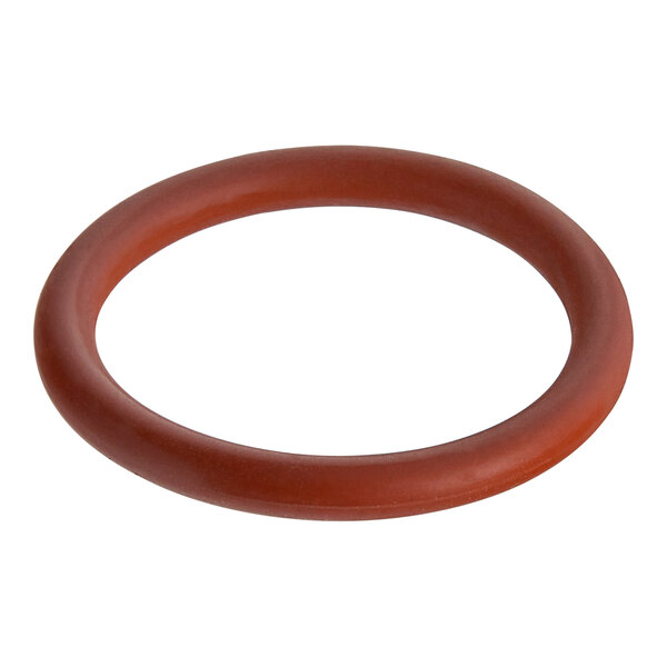 A brown circle-shaped rubber o-ring on a white background.