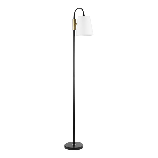 A black floor lamp with matte brass accents and adjustable gooseneck.