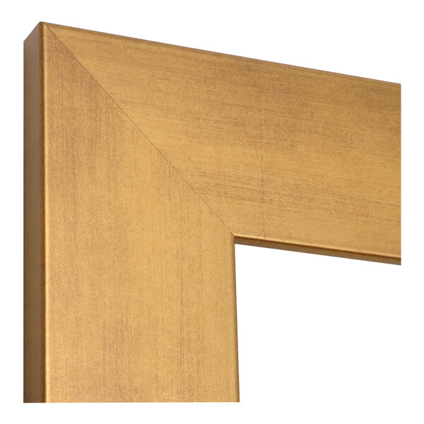 A close up of the BrandtWorks brushed gold finish mirror frame.