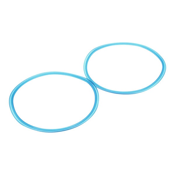 A pair of blue rubber o-rings.