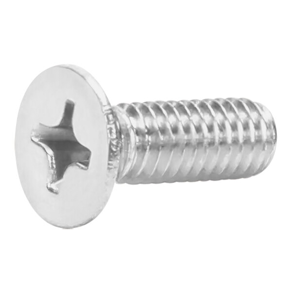 A close-up of a Hoshizaki stainless steel Phillips flat head screw.