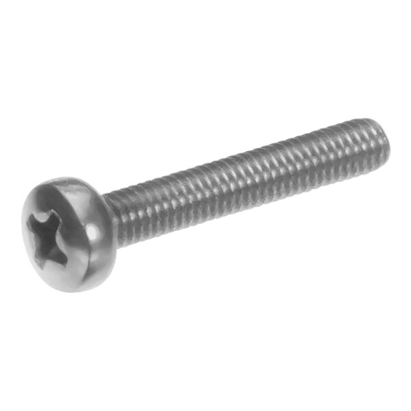 A close-up of a Hoshizaki Phillips pan head screw.