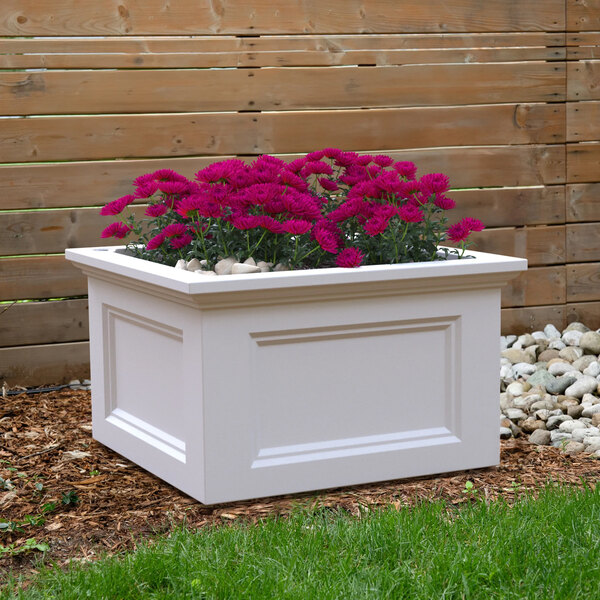 A Mayne Fairfield white square garden bed with purple flowers.