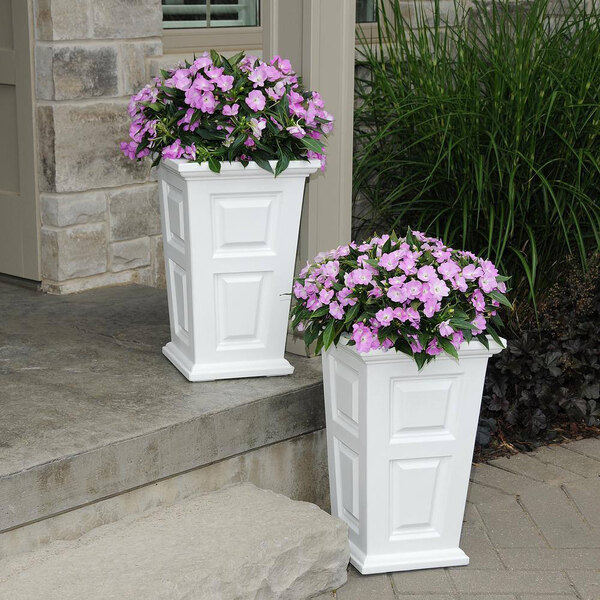 Two white rectangular Mayne Wyndham planters with purple flowers.