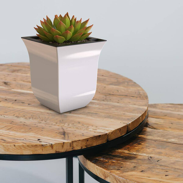 A white Mayne Valencia tabletop planter with a green plant in it on a wooden table.