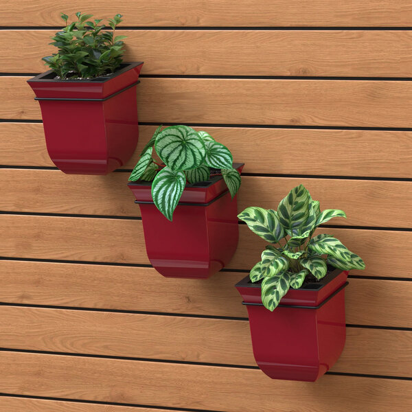 Three red Mayne Valencia wall-mount planters with plants in them.