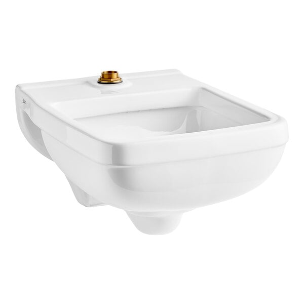 A white American Standard wall-mount clinic service sink.