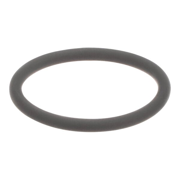 A black rubber O-ring.