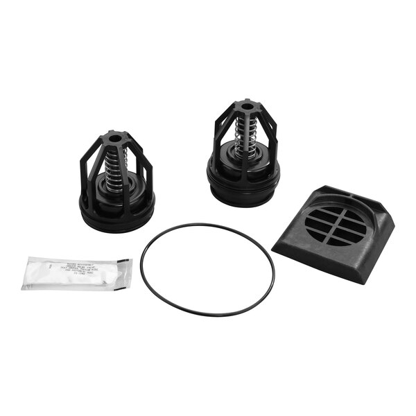 A Watts double check valve total repair kit with black plastic parts and rubber rings.