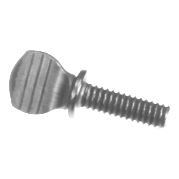 A close-up of a grey metal screw with a metal head.