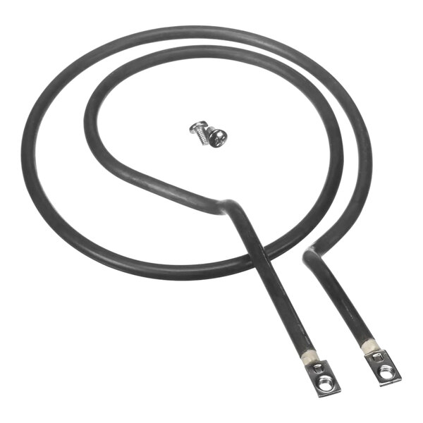 A black cable with a screw and two metal wires.