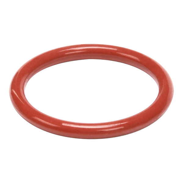 An orange rubber o-ring with a red circle on a white background.