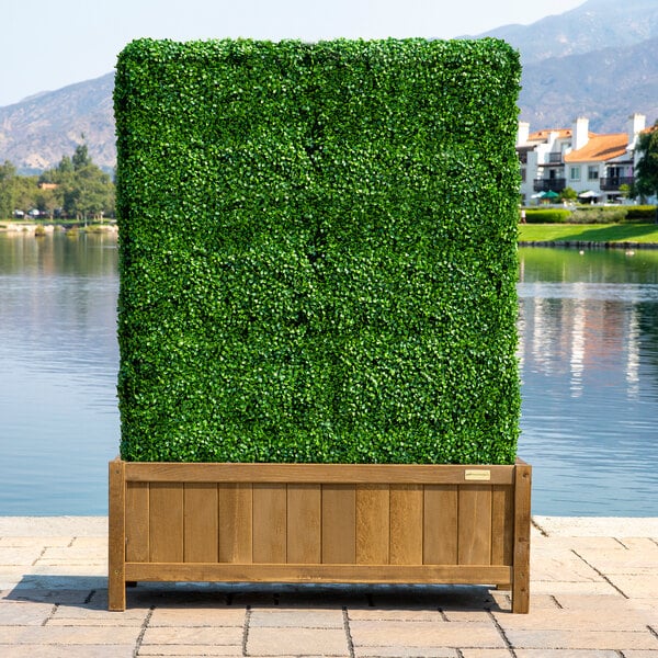 A wooden planter box with a green hedge in it.