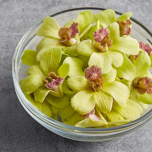 A bowl filled with green orchids on a table.