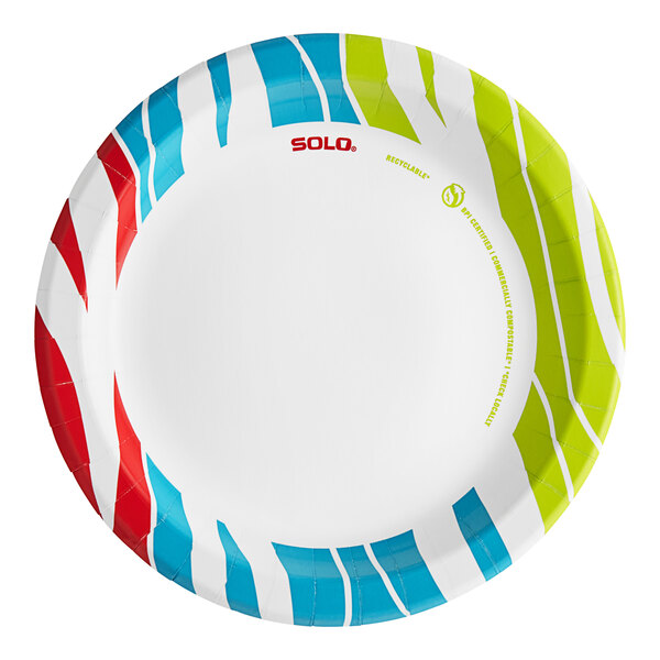 A Solo AnyDay paper plate with a colorful wavy stripe design.