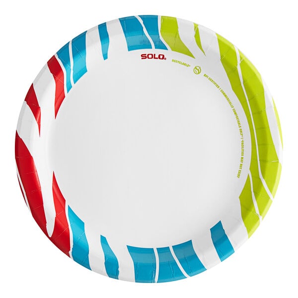 A Solo AnyDay paper plate with a colorful wavy stripe design.