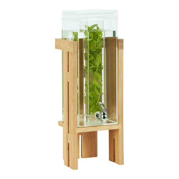 A Cal-Mil beverage dispenser with an oak base and a plant inside the infusion chamber.