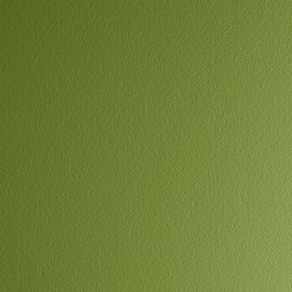 A Lancaster Table & Seating Sol Sea Moss Green resin side chair against a green wall with a rough surface.