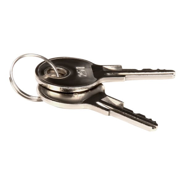 Two CMA Dishmachines keys on a ring.