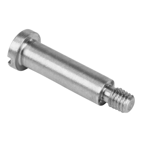 A stainless steel threaded screw.