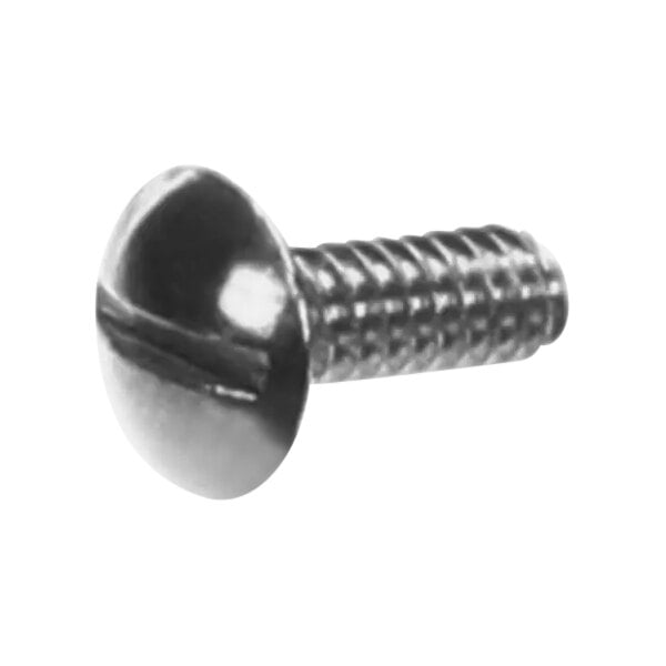 A close-up of a Bunn stainless steel screw with a spiral thread.
