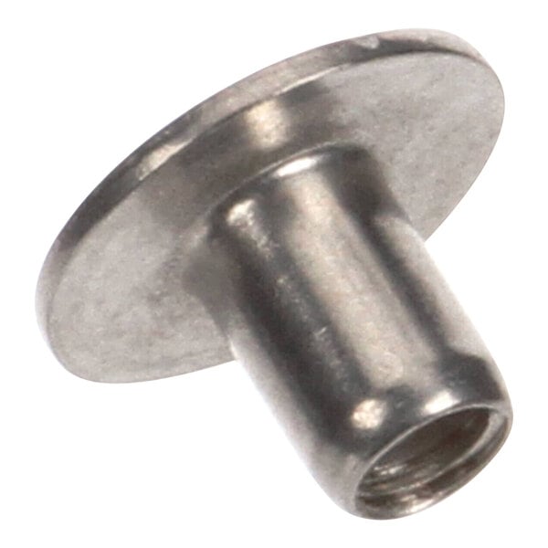 A stainless steel nut and screw.