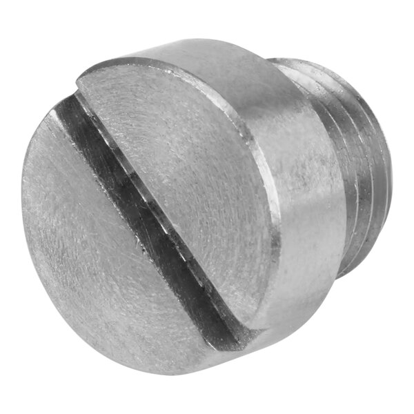 A close-up of a stainless steel threaded screw.