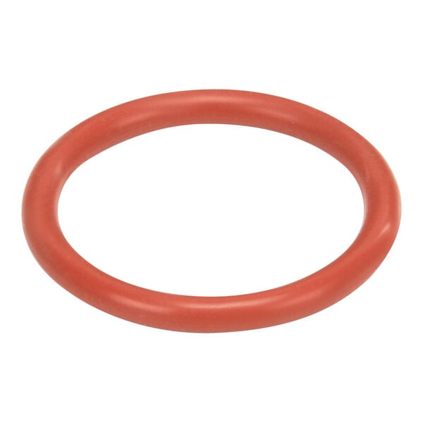 An orange rubber O-Ring with a red circle on a white background.