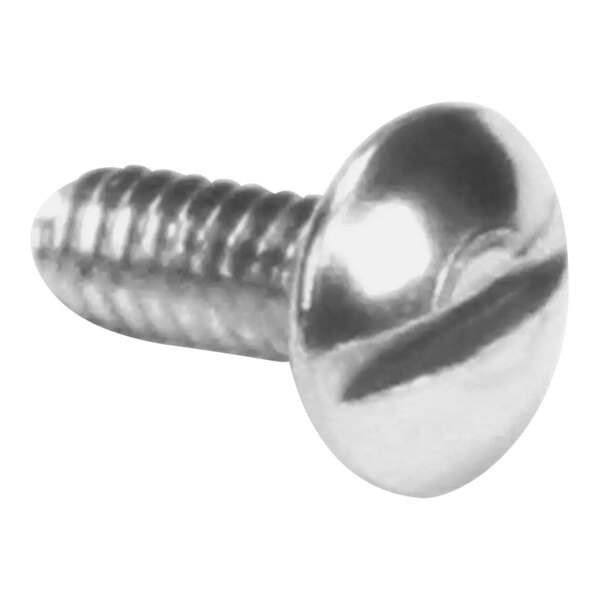 A close up of a silver Bunn screw with a slotted head.