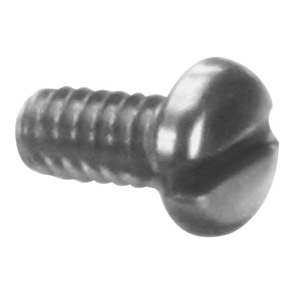 A close-up of a Bunn screw with a slotted head.