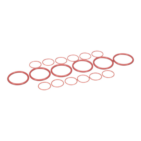 A group of red rubber O-rings.