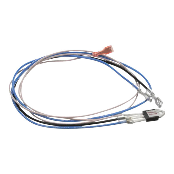 A Bunn Triac assembly with blue and white wires.