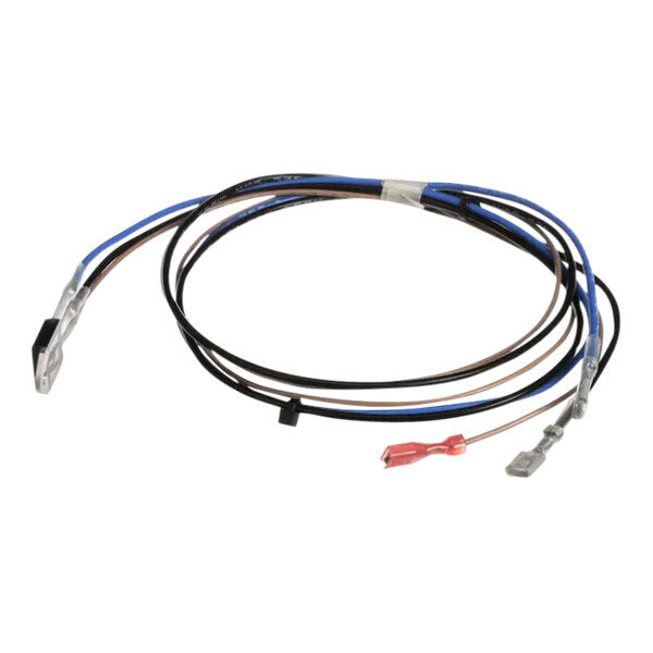 A close-up of a Bunn Triac Assy with blue and red wires.