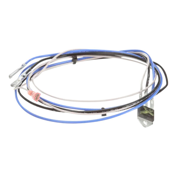 A close-up of a Bunn Triac assembly with blue and white wires.