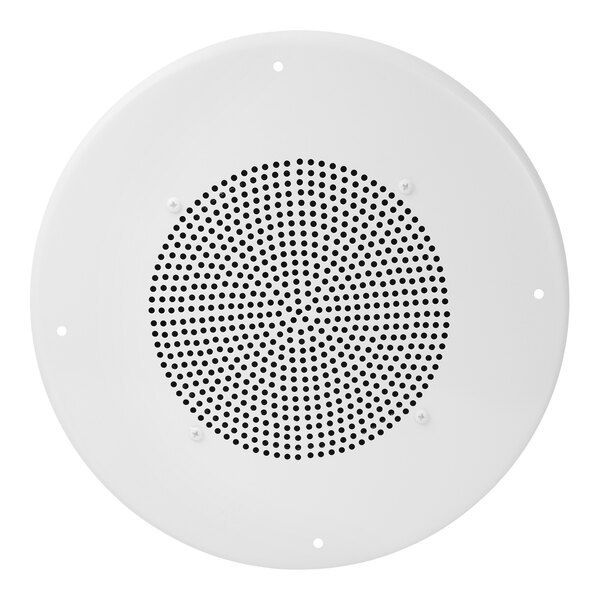 A white circular speaker grille with holes.