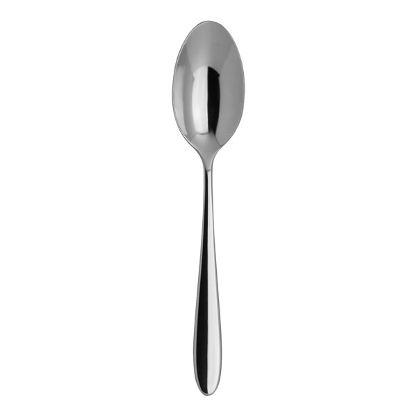 A close-up of a Varick stainless steel spoon with a silver handle.