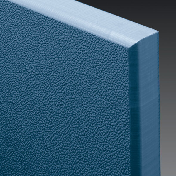 A close-up of a blue ASI Accurate Partitions solid plastic HDPE stall door.